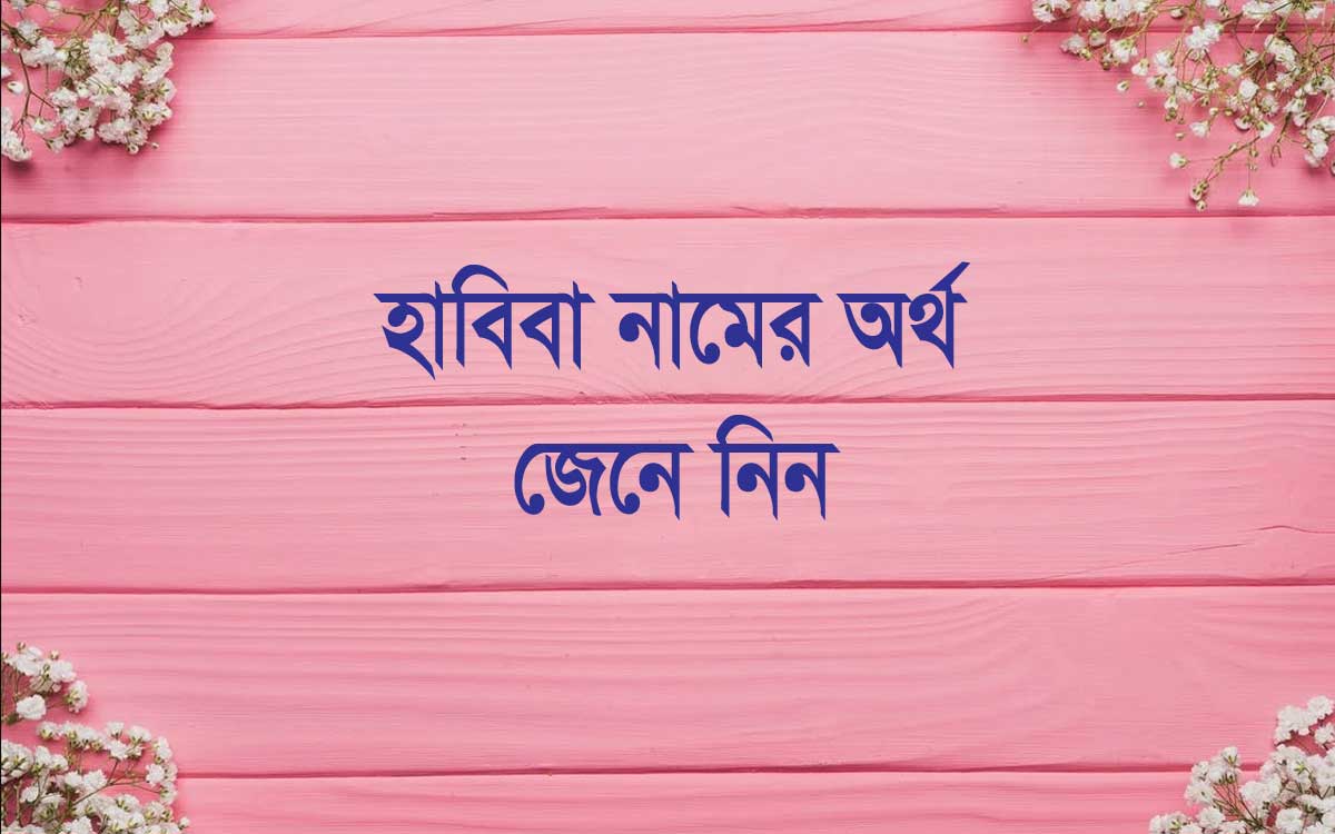 হাবিবা নামের অর্থ কি (Habiba Name Meaning in Bengali)