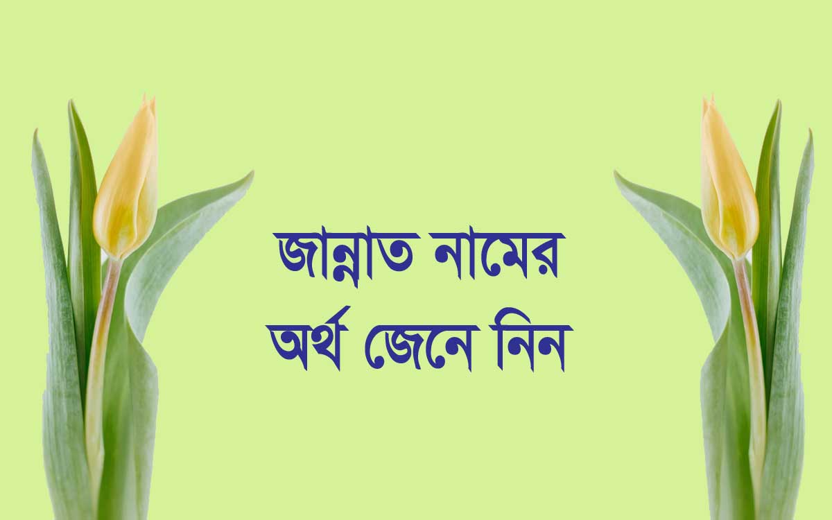 জান্নাত নামের অর্থ কি (Jannat Name Meaning In Bengali)