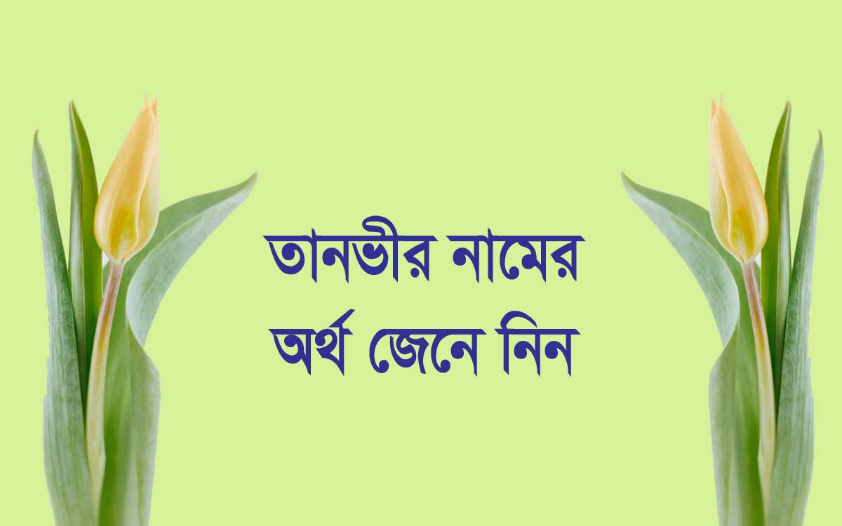 তানভীর নামের অর্থ কি (tanvir name meaning in bengali)