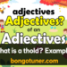 (adjective কাকে বলে উদাহরণ দাও) – সহজ ভাষায়! (adjective কাকে বলে উদাহরণ দাও) – সহজ ভাষায়!