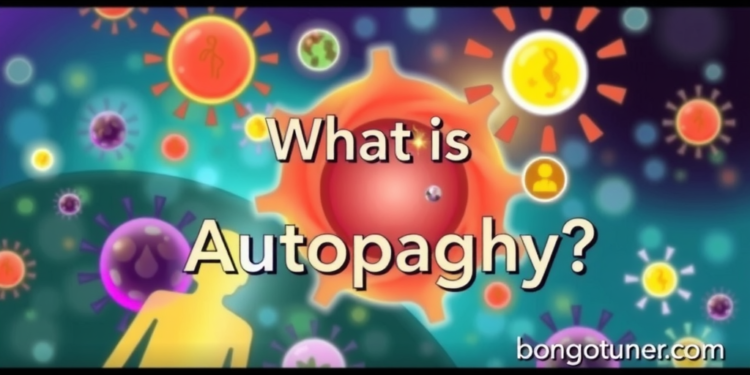 অটোফ্যাগি কাকে বলে? জানুন autophagy-র খুঁটিনাটি! অটোফ্যাগি কাকে বলে? জানুন autophagy-র খুঁটিনাটি!