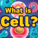 Cell কাকে বলে? গঠন ও প্রকারভেদ জানুন Cell কাকে বলে? গঠন ও প্রকারভেদ জানুন