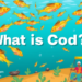 “(cod কাকে বলে)-এর সহজ সংজ্ঞা ও ব্যবহার” “(cod কাকে বলে)-এর সহজ সংজ্ঞা ও ব্যবহার”