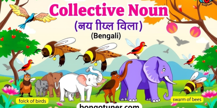 Collective noun কাকে বলে? সহজ ভাষায় উদাহরণ! Collective noun কাকে বলে? সহজ ভাষায় উদাহরণ!