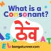 (consonant কাকে বলে) সহজ ভাষায়! উদাহরণ সহ জানুন (consonant কাকে বলে) সহজ ভাষায়! উদাহরণ সহ জানুন
