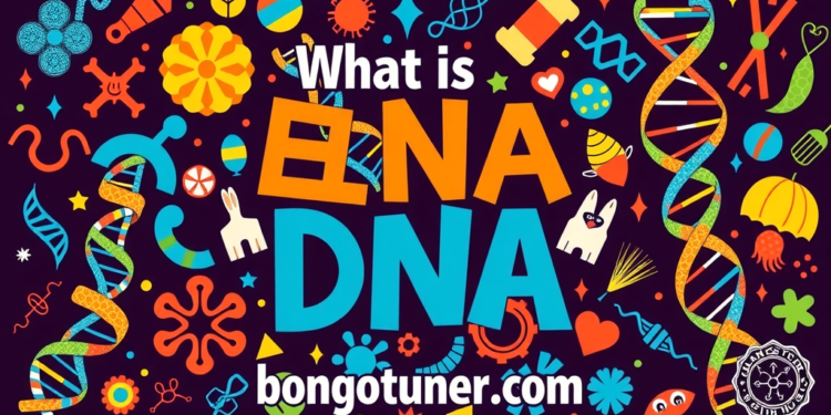 (dna কাকে বলে) ও এর কাজ? সহজ ভাষায় জেনে নিন! (dna কাকে বলে) ও এর কাজ? সহজ ভাষায় জেনে নিন!
