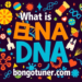 (dna কাকে বলে) ও এর কাজ? সহজ ভাষায় জেনে নিন! (dna কাকে বলে) ও এর কাজ? সহজ ভাষায় জেনে নিন!