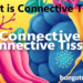 যোজক টিস্যু কাকে বলে? প্রকারভেদ ও কাজ জানুন!