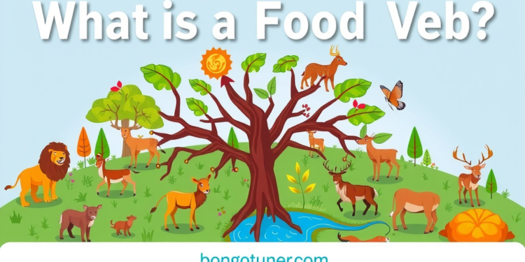 খাদ্যজাল কাকে বলে? সহজ ভাষায় খাদ্য শৃঙ্খল বুঝুন খাদ্যজাল কাকে বলে? সহজ ভাষায় খাদ্য শৃঙ্খল বুঝুন