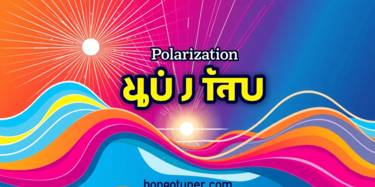 পোলারায়ন কাকে বলে? সহজ ভাষায় বুঝুন! পোলারায়ন কাকে বলে? সহজ ভাষায় বুঝুন!