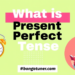 Present Perfect Tense কাকে বলে? সহজ ভাষায় শিখুন! Present Perfect Tense কাকে বলে? সহজ ভাষায় শিখুন!