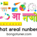 প্রকৃত সংখ্যা কাকে বলে? জানুন খুঁটিনাটি! প্রকৃত সংখ্যা কাকে বলে? জানুন খুঁটিনাটি!