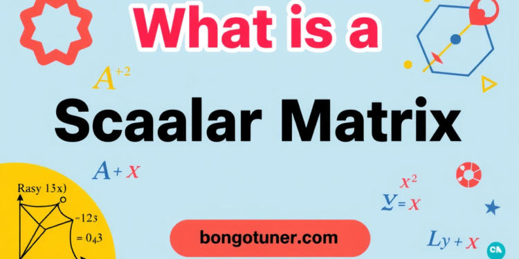 স্কেলার ম্যাট্রিক্স কাকে বলে? সহজ ভাষায় উদাহরণ সহ! স্কেলার ম্যাট্রিক্স কাকে বলে? সহজ ভাষায় উদাহরণ সহ!