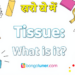 টিস্যু কাকে বলে? সহজ ভাষায় জেনে নিন! টিস্যু কাকে বলে? সহজ ভাষায় জেনে নিন!