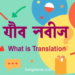 ট্রান্সলেশন কাকে বলে? সহজ ভাষায় সংজ্ঞা ও প্রকারভেদ! ট্রান্সলেশন কাকে বলে? সহজ ভাষায় সংজ্ঞা ও প্রকারভেদ!